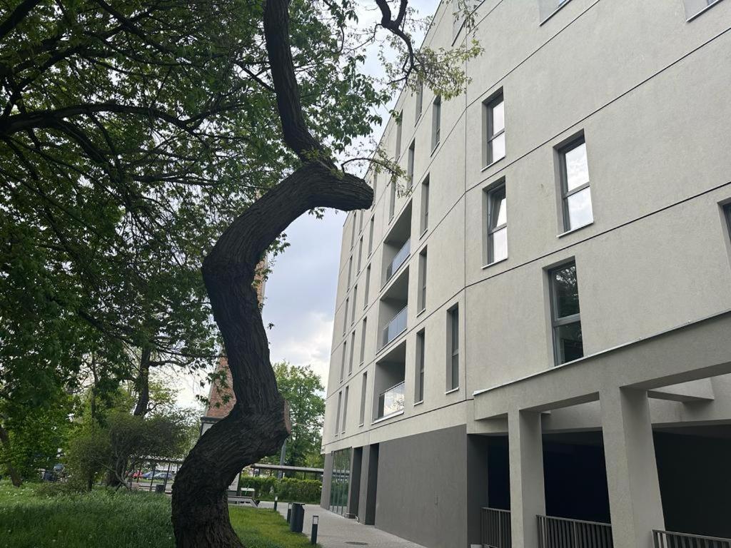 Apartament Centrum II Бидгощ Екстер'єр фото